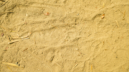 Sandy Ground with Tracks and Debris,