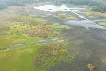 Aerial view of dry lake and forest