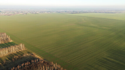 Aerial shot of rural farming land with crop patterns