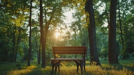 Naklejka premium Sunset Serenity: A park bench bathed in the golden hour light, surrounded by lush trees. Tranquil scene perfect for contemplation and relaxation.