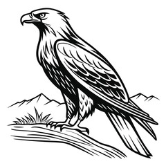 eagle vector illustration