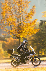 Obraz premium Motorcyclist rides through beautiful sunset landscape.