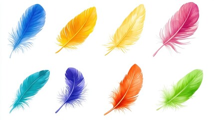 Colorful feather illustrations in watercolor style, isolated, clip art illustration