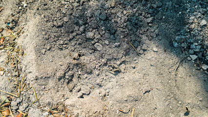 Ash and Debris Ground Texture Closeup View