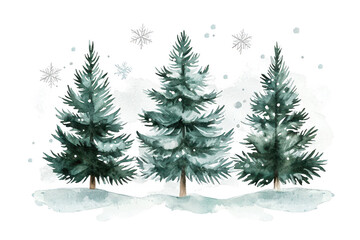 Obraz premium Three lush evergreen trees adorned with snowflakes, showcasing a vibrant winter scene.