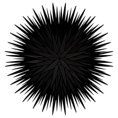 Fototapeta premium sea urchin vector illustration, realistic marine invertebrate artwork, ocean wildlife design