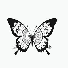 butterfly vector illustration