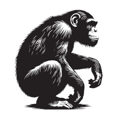 Black Color Chimpanzee Silhouette Vector Illustration, Solid White Background