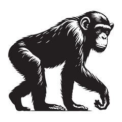 Fototapeta premium Black Color Chimpanzee Silhouette Vector Illustration, Solid White Background