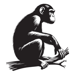 Black Color Chimpanzee Silhouette Vector Illustration, Solid White Background