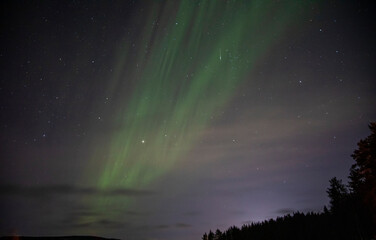 Nothern light through the forest in Finland