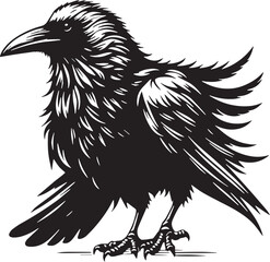 Black Color Crow Silhouette Vector Illustration, Solid White Background