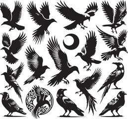 Black Color Crow Silhouette Vector Illustration, Solid White Background