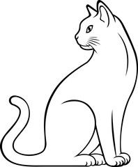 black cat on white background	