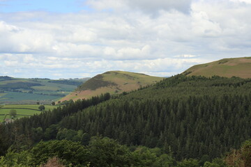 Hergest Ridge in the UK summertime