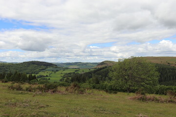 Hergest Ridge in the UK summertime