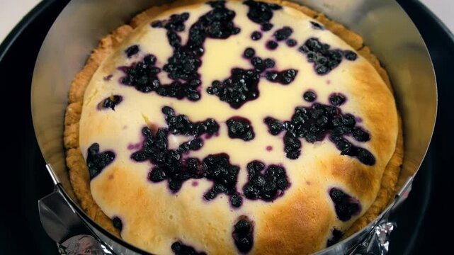 Cooked just baked berry creamy tart pie cake in baking sheet on kitchen at home. Ingredient recipe cuisine culinary. Homemade meal bakery. Making preparing dessert pastry.
