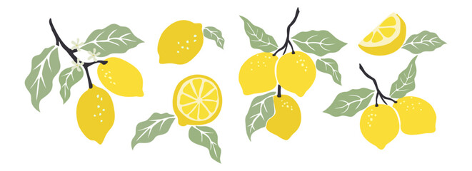 Obraz premium Hand drawn abstract lemons set. Collection of whole and cut lemons, branches, flowers and leaves vector illustrations isolated on white background. Fresh juicy citrus fruit