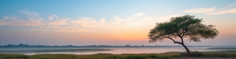 Fototapeta premium A tree stands in a field with a beautiful sunset in the background. The sky is filled with clouds, and the water is calm. The scene is peaceful and serene, with the tree providing a sense of stability