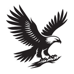 Black Color Eagle Silhouette Vector Illustration, Solid White Background