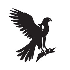 Fototapeta premium Black Color Falcon Silhouette Vector Illustration, Solid White Background