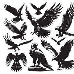 Black Color Falcon Silhouette Vector Illustration, Solid White Background