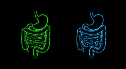 Surreal Neon Digestive System