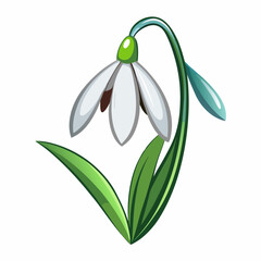 Obraz premium Snowdrop Flower Vector Graphic Design File - High-Quality Illustrations for Creative Projects