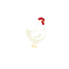 Rooster logo. Rooster logo design on white background. Vector illustration. 