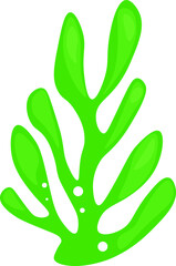 A fun and colorful cartoon green coral in a playful style. Perfect for underwater-themed designs, children's illustrations, marine projects, posters, stickers