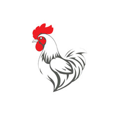 Rooster logo. Rooster logo design on white background. Vector illustration. 