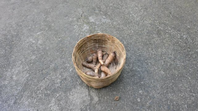 Colocasia Tuber. It is a flowering plants&nbsp;in the family&nbsp;Araceae. Its other names elephant ear, cocoyam, large leaved genera, Araceae, Xanthosoma&nbsp;and&nbsp;Caladium. This is a vegetable. Arbi.