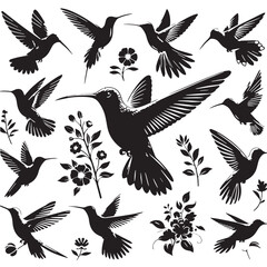 Black Color Hummingbird Silhouette Vector Illustration, Solid White Background