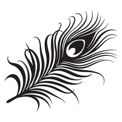 peacock feather black silhouette vector black white background.
