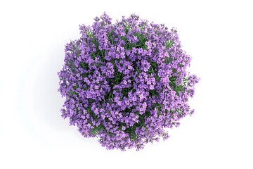 Obraz premium Top View Lavender 3D Rendered Floral Elegance 
