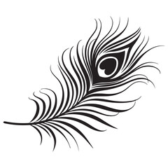 peacock feather black silhouette vector black white background.