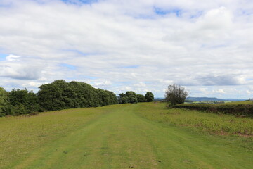Hergest Ridge in the UK summertime