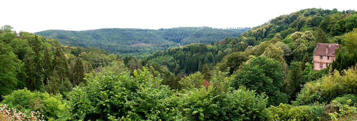 Fototapete bei efototapeten.de bestellen   
