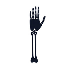 Naklejka premium A detailed view of a human skeletal hand, showcasing the bones and joints. Suitable for educational purposes in anatomy and biology. Isolated on a white background.