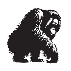 Black Color Orangutan Silhouette Vector Illustration, Solid White Background