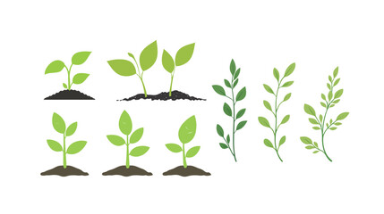 A fresh leaf sprout representing new growth, symbolizing the beauty of nature's renewal. This image captures the delicate and vibrant beginnings of a plant’s life cycle, reflecting the theme of growth