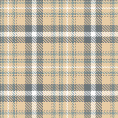 Pale Light Peach and Light Battleship Grey Seamless Tartan Textile Design