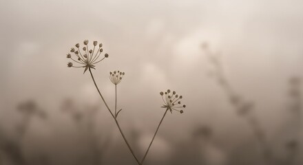 Soft light illuminates delicate dried flowers in misty field serene autumnal scene. AI Generated