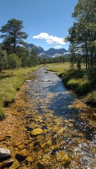 Fototapeta premium Serene Mountain Stream in Norway