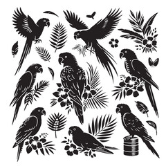 Black Color Parrot Silhouette Vector Illustration, Solid White Background