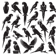 Obraz premium Black Color Parrot Silhouette Vector Illustration, Solid White Background