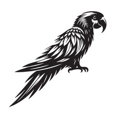 Obraz premium Black Color Parrot Silhouette Vector Illustration, Solid White Background