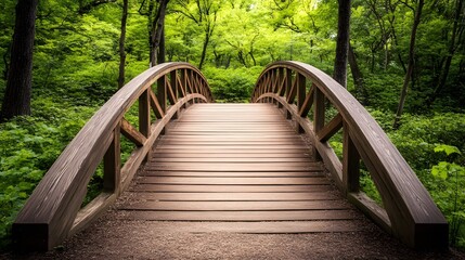 Wooden Bridge in Lush Green Forest, Tranquil Nature Scene