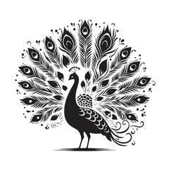 Black Color Peacock Silhouette Vector Illustration, Solid White Background