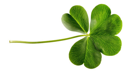 Lucky Charm's Embrace: An isolated four-leaf clover unfurls its vibrant green leaves, offering a symbol of hope and fortune in this captivating photograph.